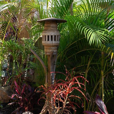 Plumeria Suite, 2-Bedrooms, Sleeps 6, Pool & Bbq, Pre-Renovation Summer Sale Kihei Exteriör bild