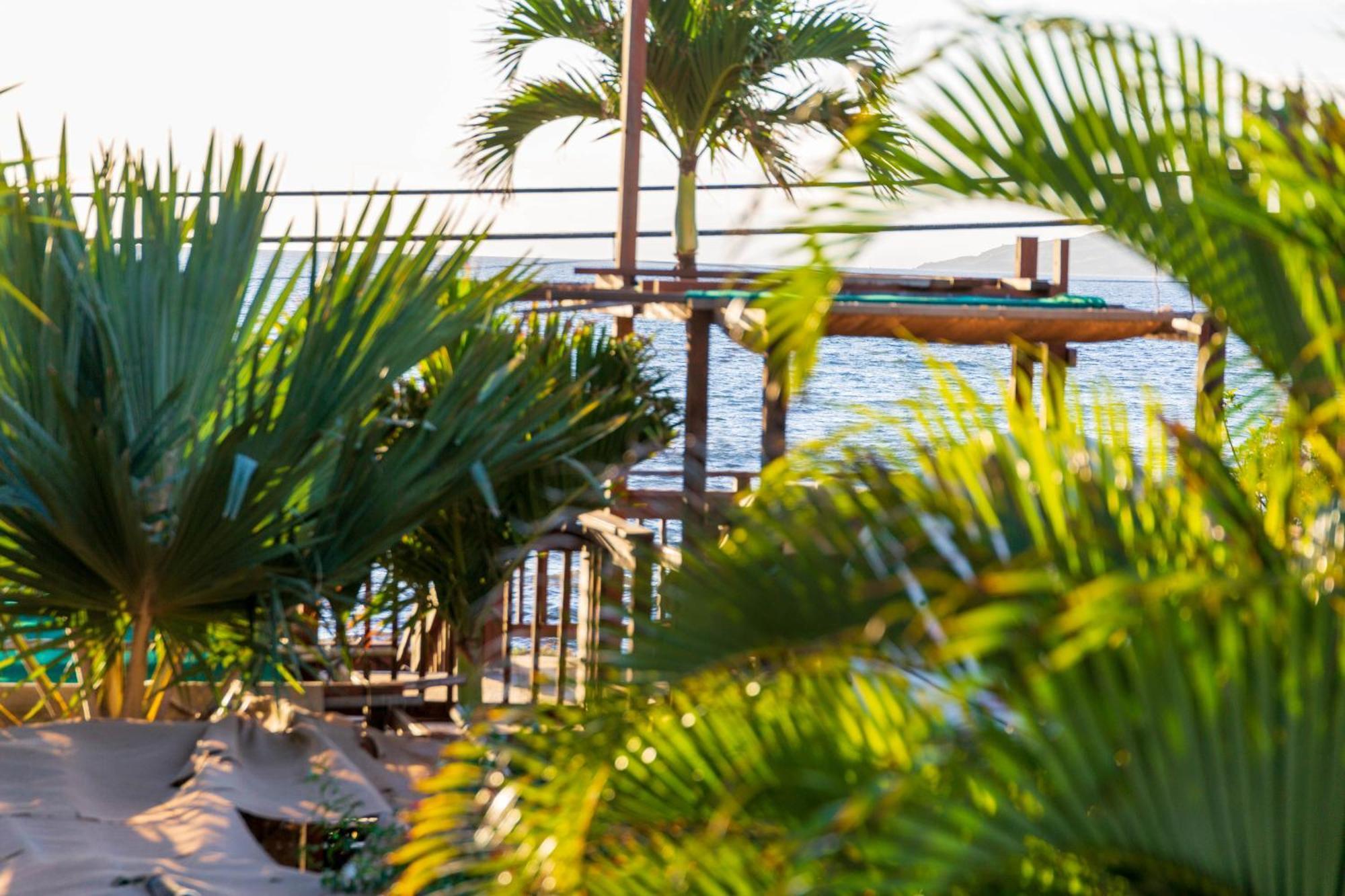 Plumeria Suite, 2-Bedrooms, Sleeps 6, Pool & Bbq, Pre-Renovation Summer Sale Kihei Exteriör bild