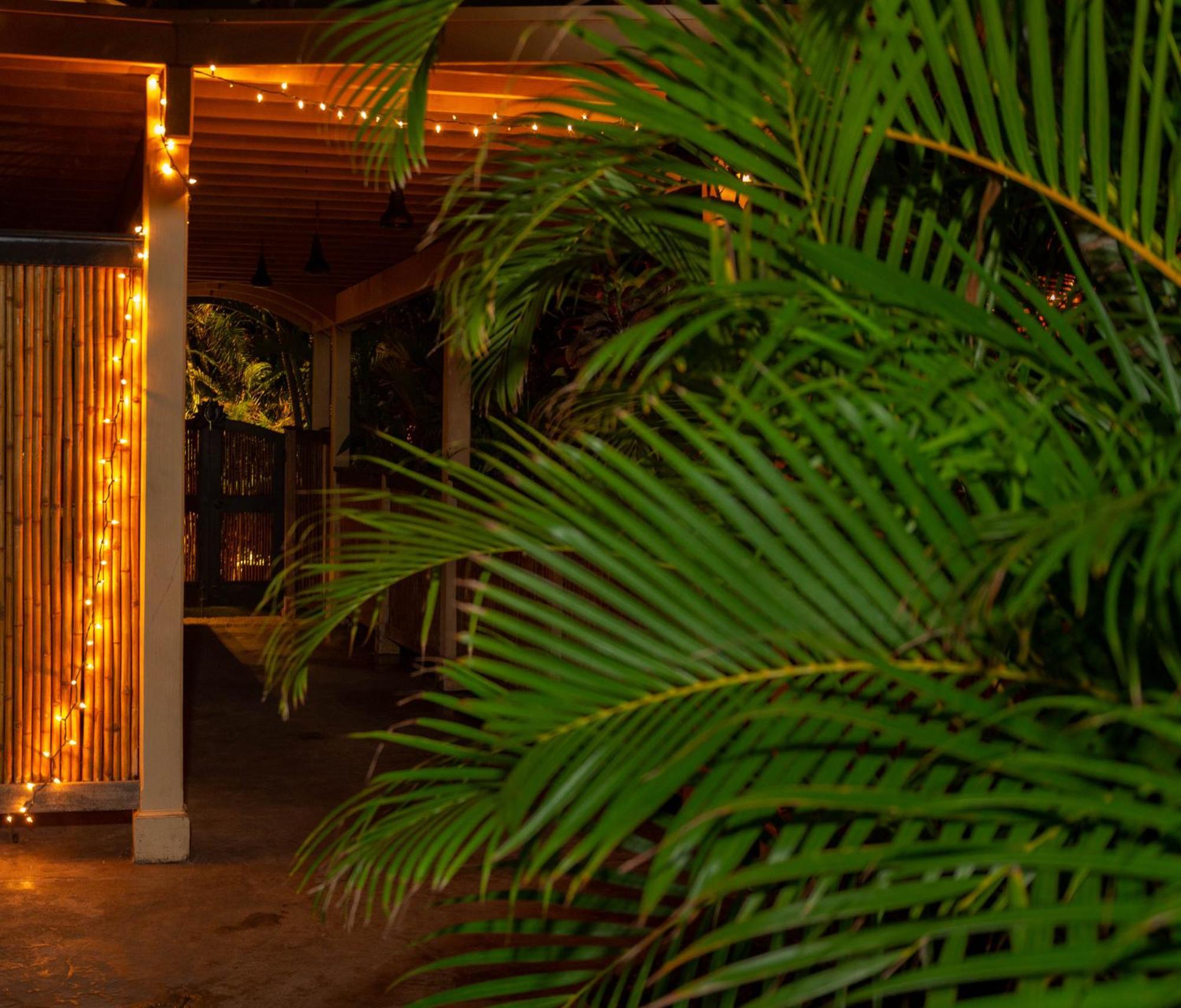 Plumeria Suite, 2-Bedrooms, Sleeps 6, Pool & Bbq, Pre-Renovation Summer Sale Kihei Exteriör bild