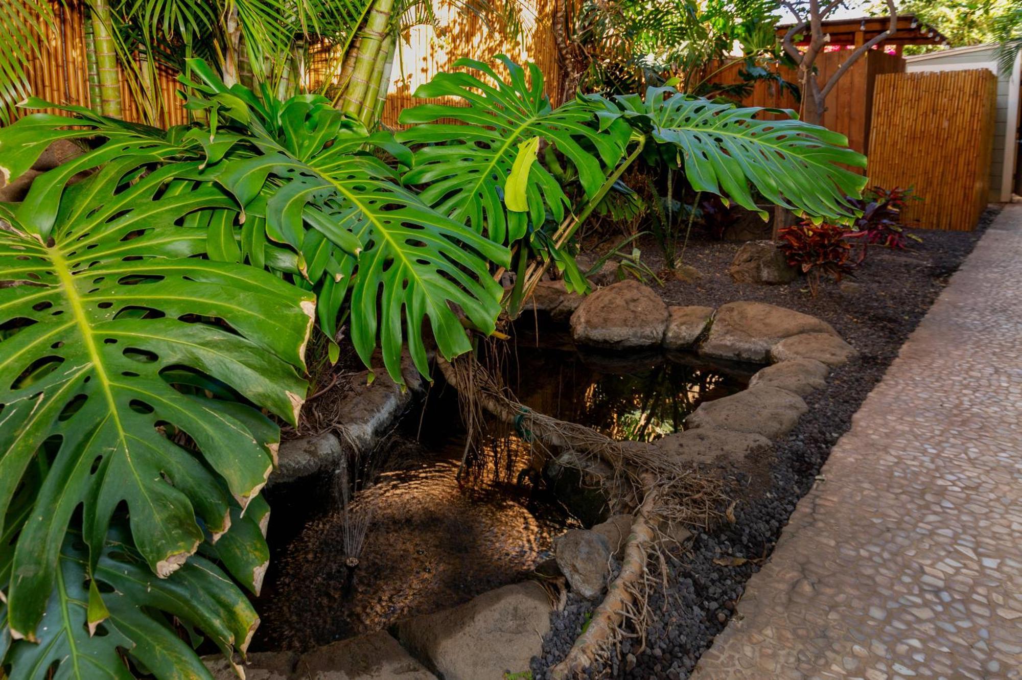 Plumeria Suite, 2-Bedrooms, Sleeps 6, Pool & Bbq, Pre-Renovation Summer Sale Kihei Exteriör bild